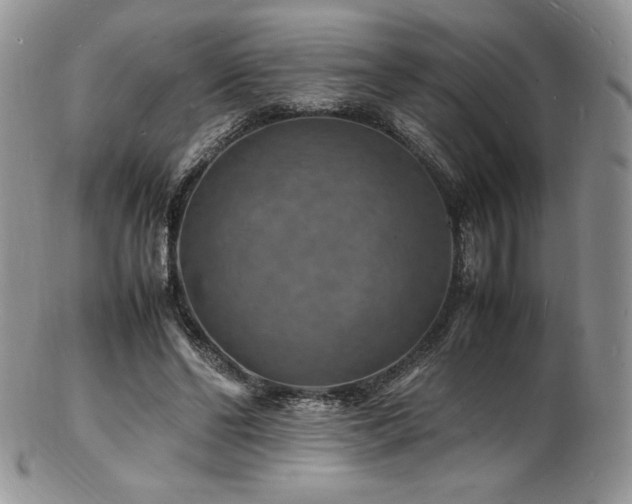 X0000103250494200808281507