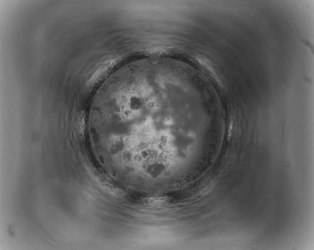 X0000103250495200808281507
