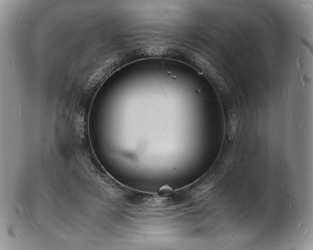 X0000103250497200808281507