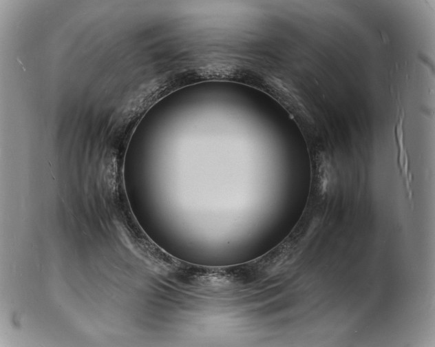 X0000103250498200808281507