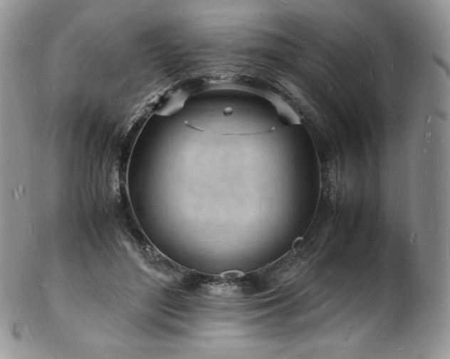X0000103250500200808281507