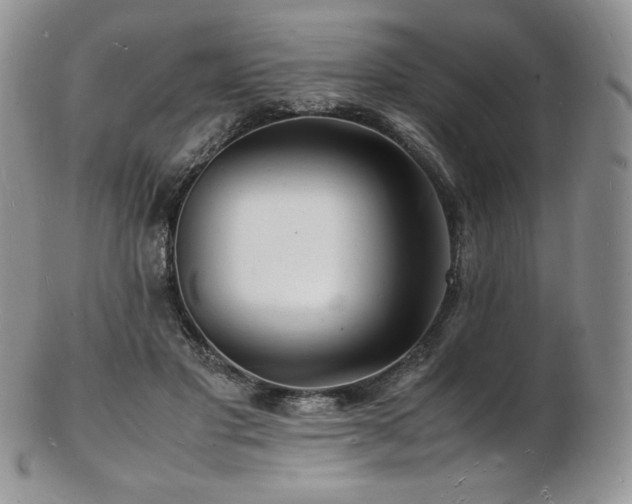 X0000103250501200808281507