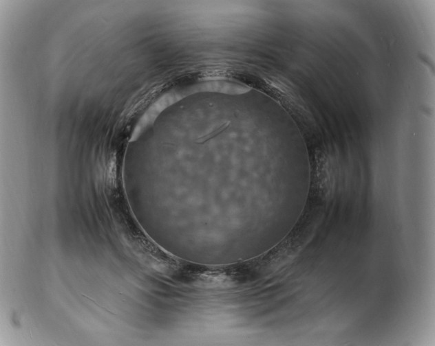 X0000103250502200808281507