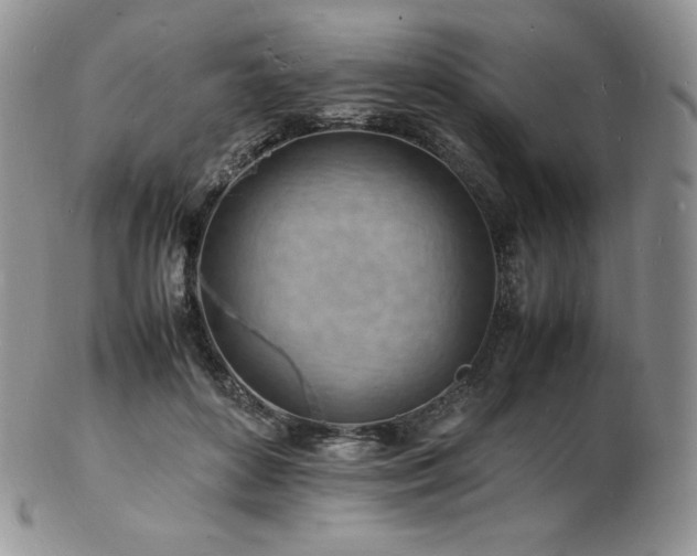 X0000103250504200808281507