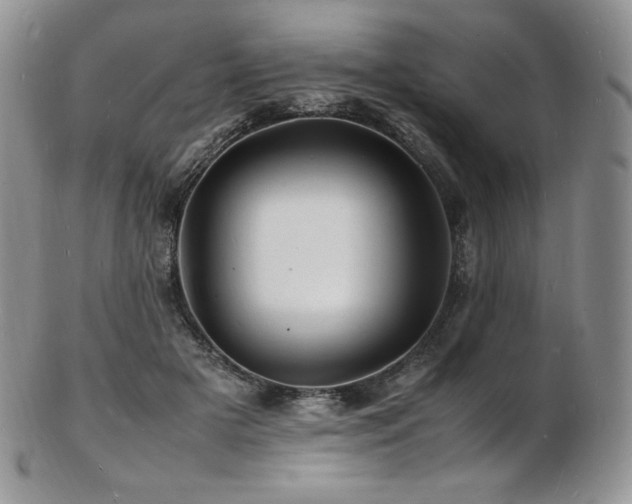 X0000103250505200808281507