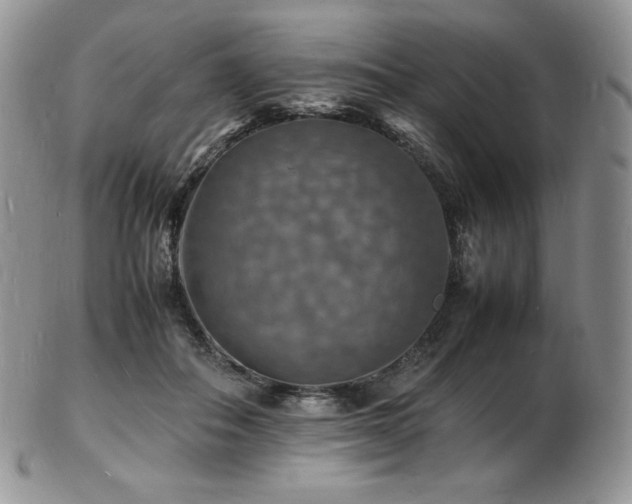 X0000103250506200808281507