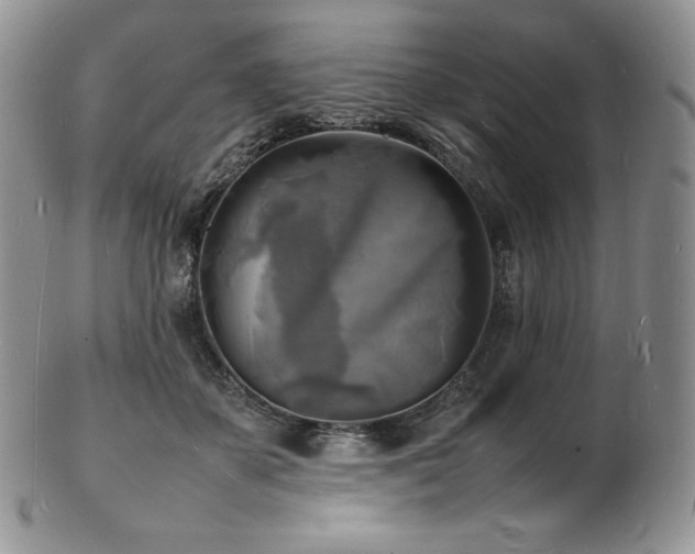 X0000103250507200808281507