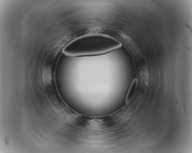 X0000103250508200808281506