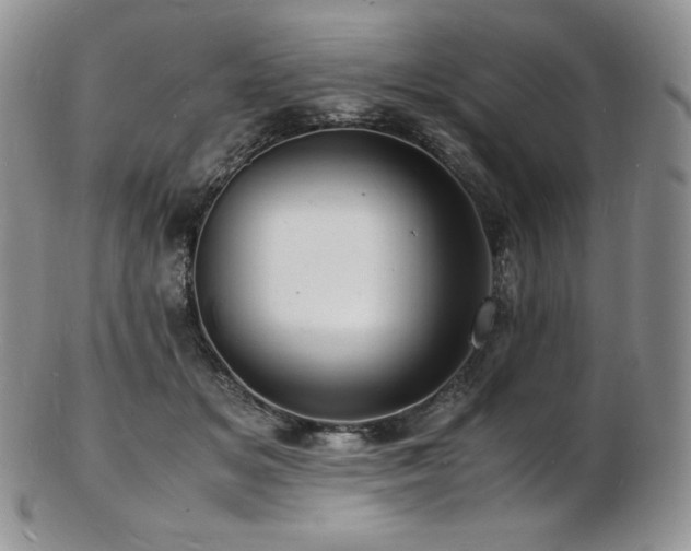 X0000103250509200808281506