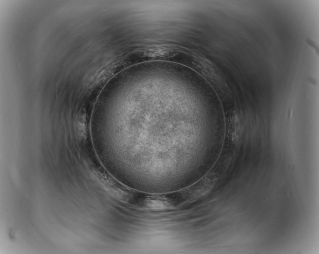 X0000103250510200808281506