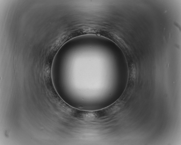 X0000103250513200808281506