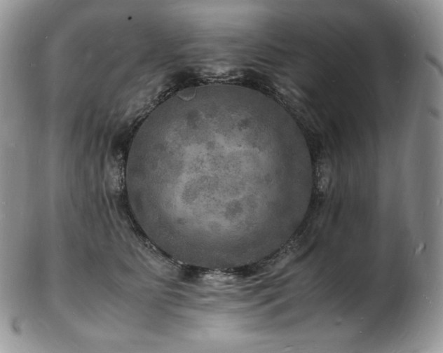 X0000103250515200808281506