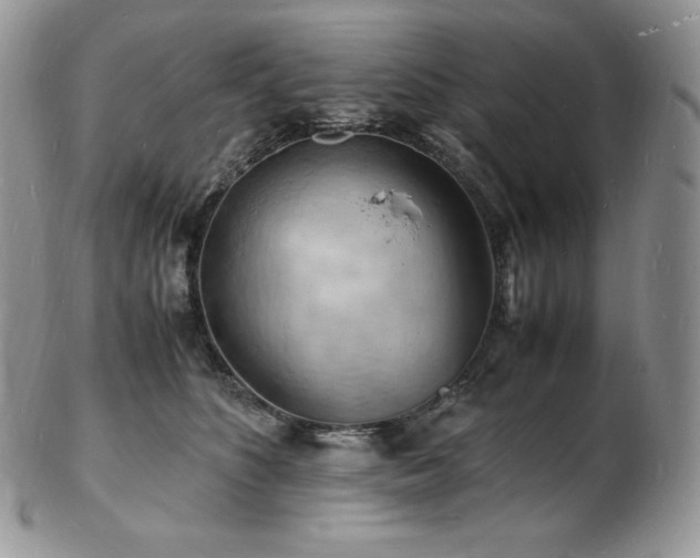 X0000103250516200808281506