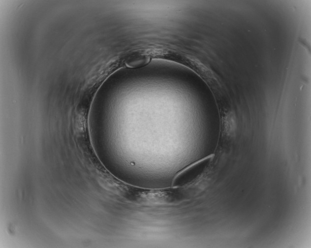 X0000103250517200808281506