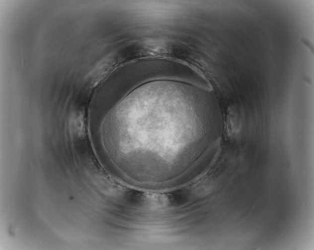 X0000103250520200808281506