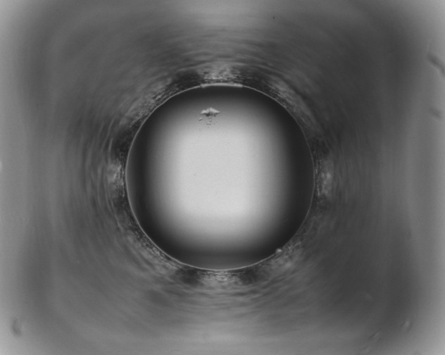 X0000103250521200808281506