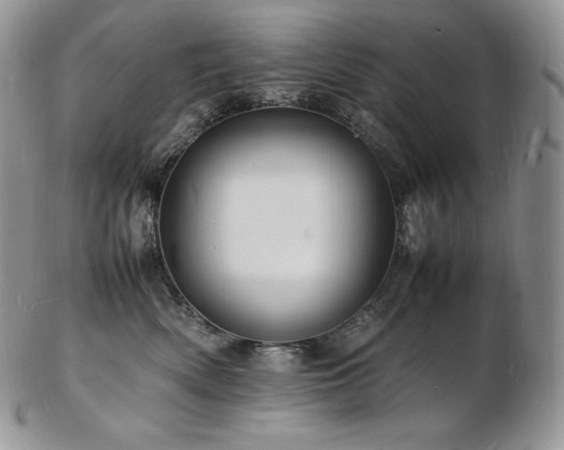 X0000103250522200808281506