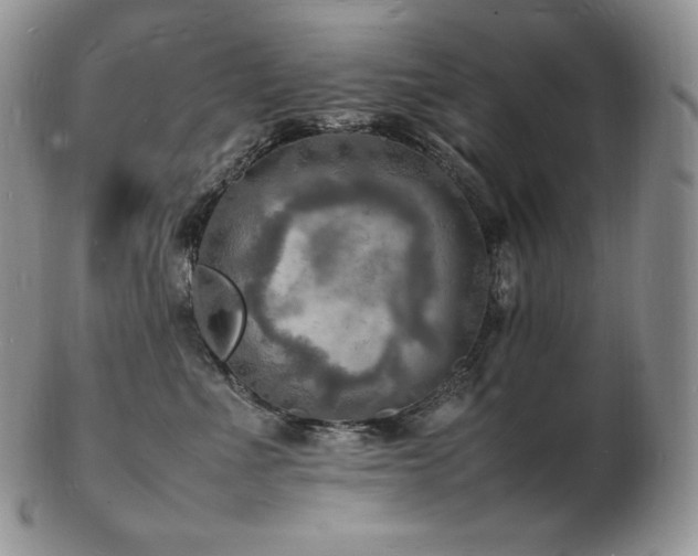 X0000103250523200808281506