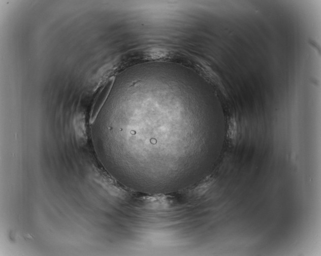 X0000103250524200808281506