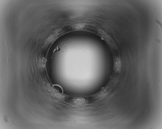 X0000103250525200808281506