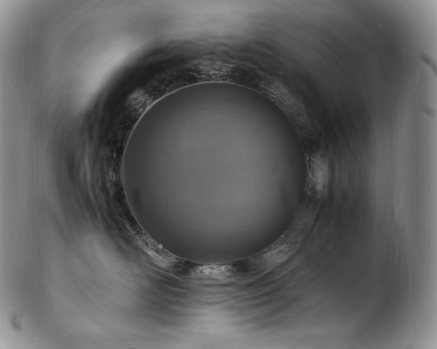 X0000103250526200808281506