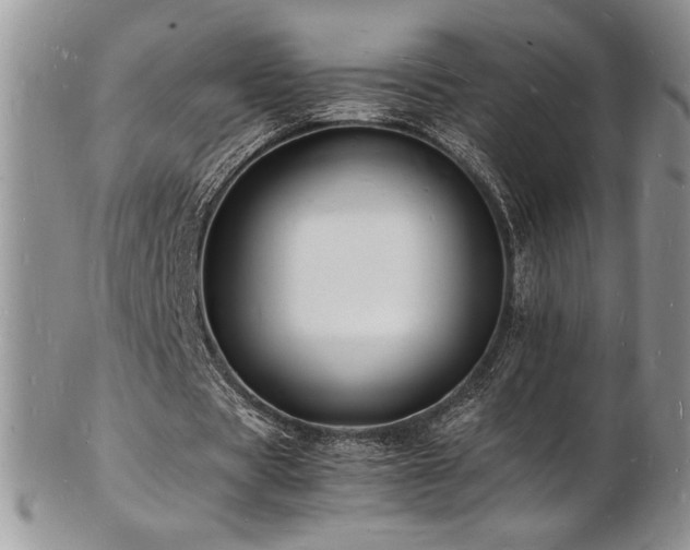 X0000103250529200808281506