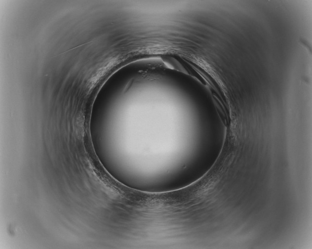 X0000103250530200808281506