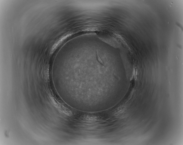 X0000103250531200808281506