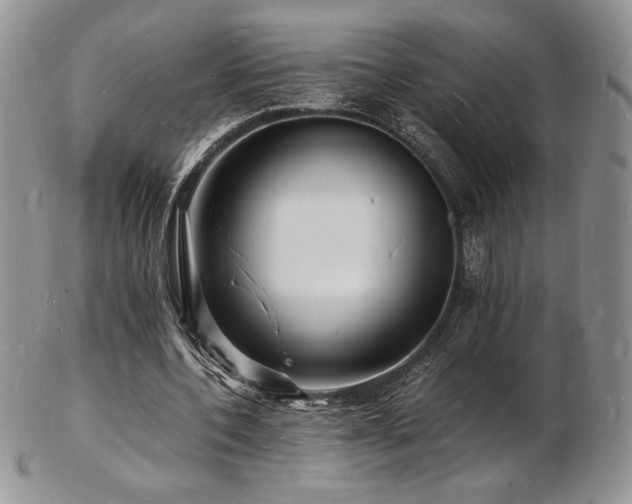 X0000103250532200808281506