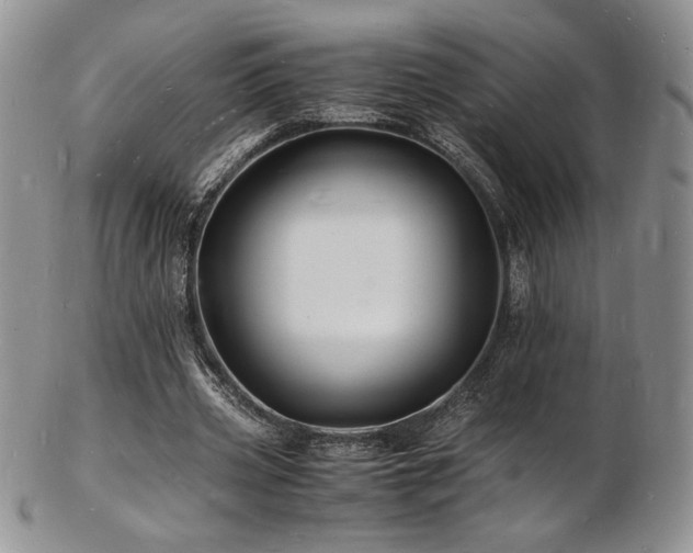 X0000103250533200808281506
