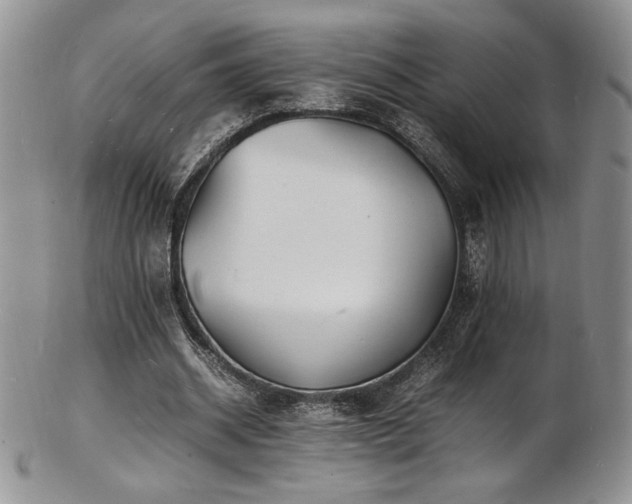 X0000103250534200808281506