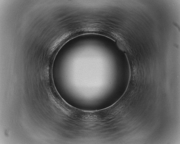 X0000103250535200808281506