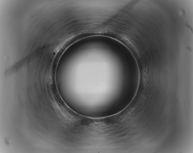 X0000103250536200808281506