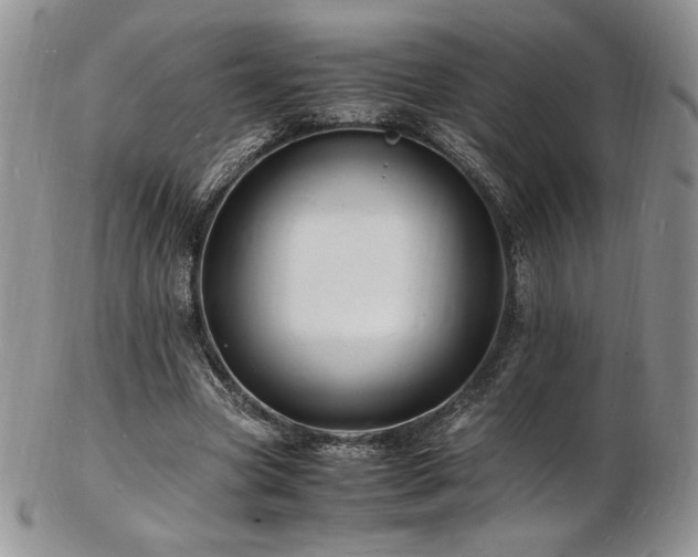 X0000103250537200808281506