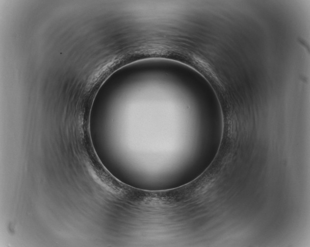 X0000103250538200808281506