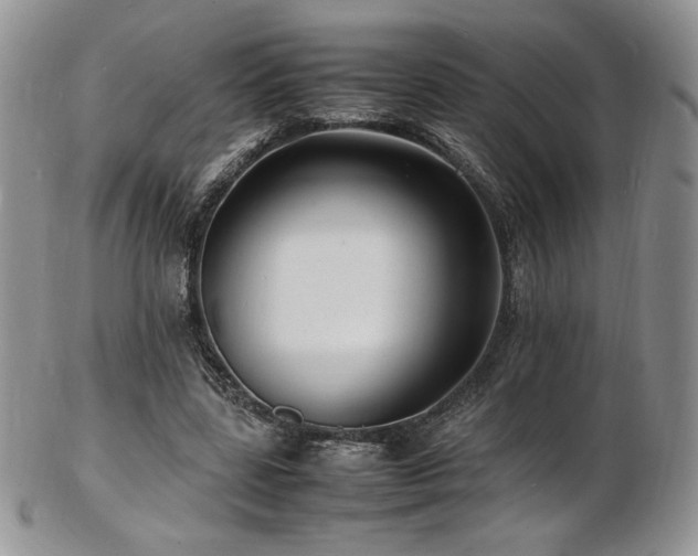 X0000103250539200808281506