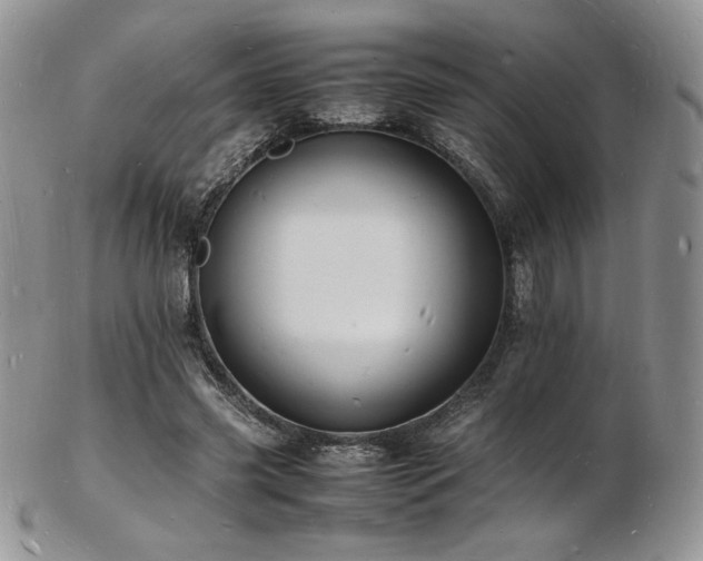 X0000103250541200808281506