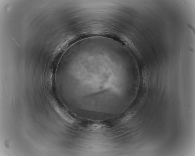 X0000103250542200808281506