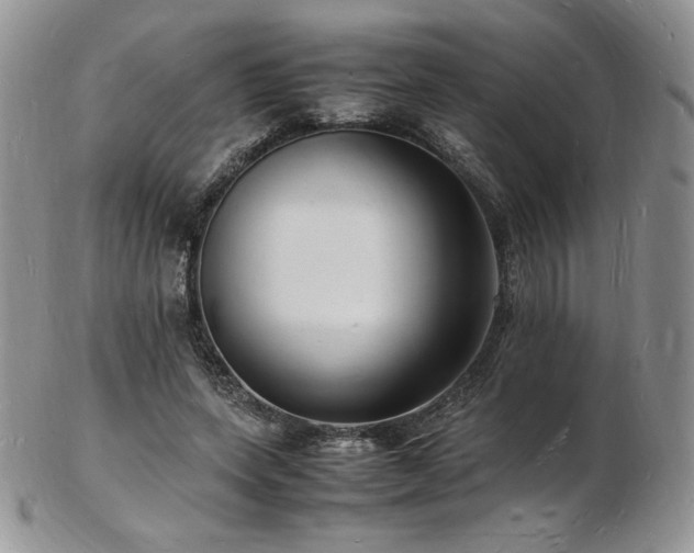 X0000103250543200808281506