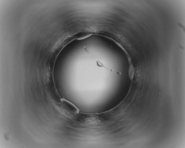 X0000103250544200808281506