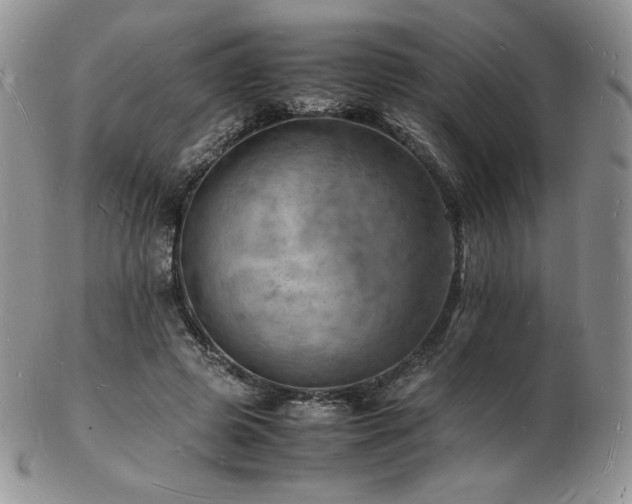X0000103250545200808281506