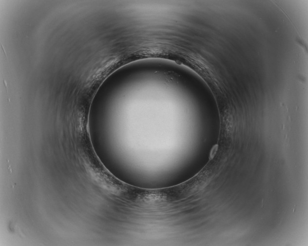 X0000103250546200808281506