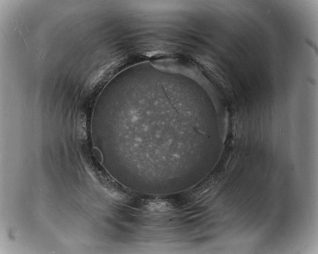 X0000103250547200808281506
