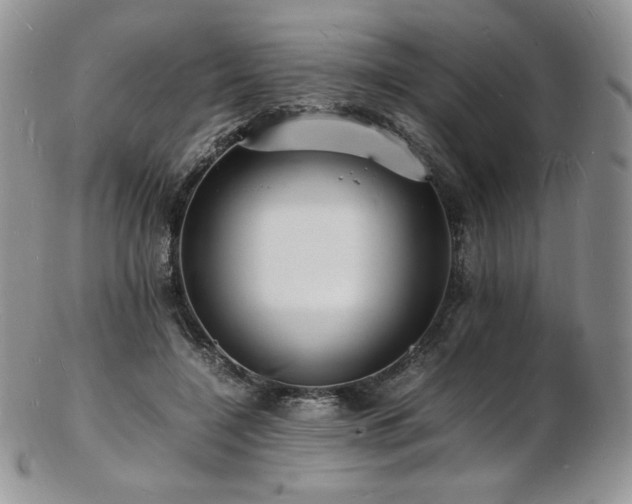 X0000103250548200808281506