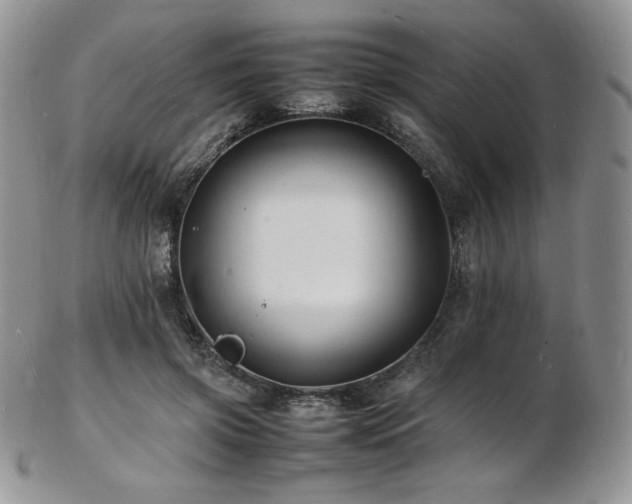 X0000103250549200808281506