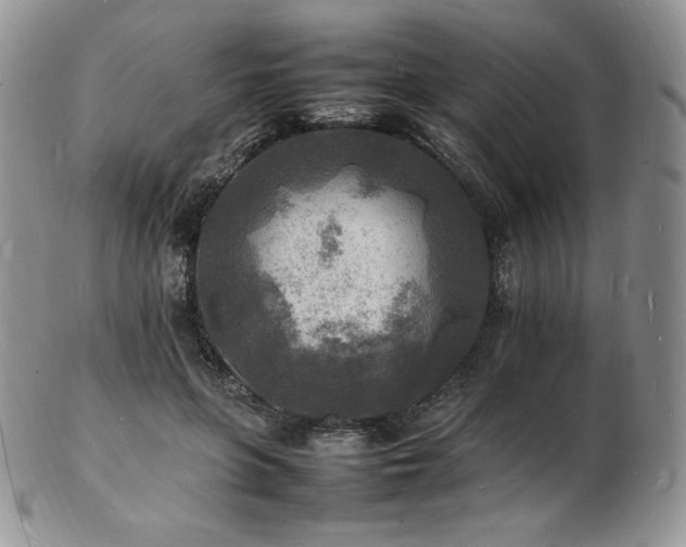 X0000103250551200808281506