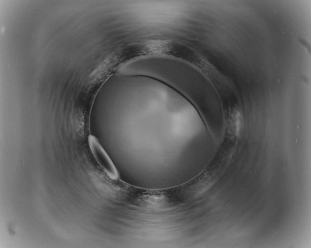 X0000103250552200808281506
