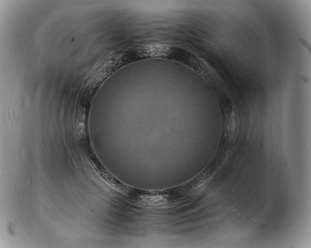 X0000103250553200808281506