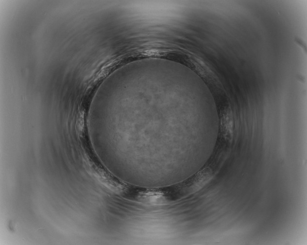 X0000103250554200808281506