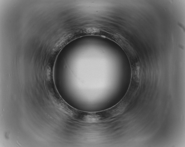 X0000103250556200808281506